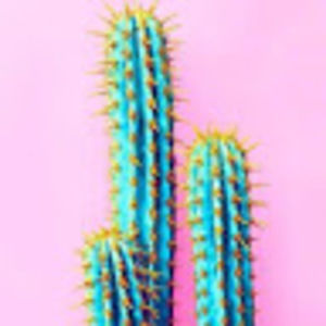 Meet your Posher, Audrey